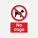 No Dogs Sign - 23287248060599