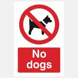 No Dogs Sign - 23287248093367
