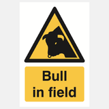 Bull In Field Sign - 23287482515639