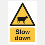Slow Down Cattle Sign - 23287554867383