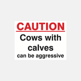 Caution Cows With Calves Can Be Aggressive Sign - 23287787946167