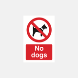 No Dogs Sign - 23287248158903